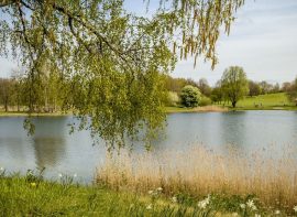 Bezirk Reinickendorf Halalhelden